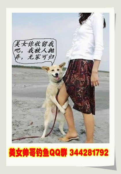 中国美屄的海报图片